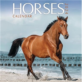 2024 MINI Wall Calendar - Horse