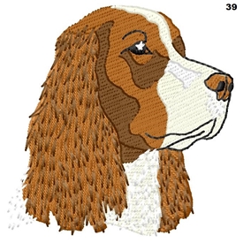 Spaniel Dog 39