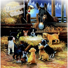 Animal Nativity Christmas Cards