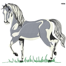 Horse 193b
