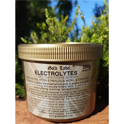 Gold Label Electrolyte Powder 250g
