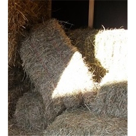 Second Quality Hay
