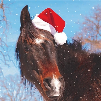 Horse Santa Hat Christmas Cards