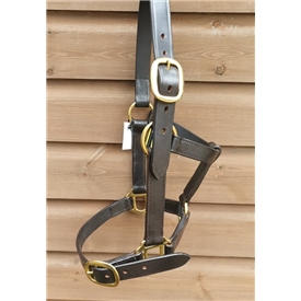 *Yearling Leather Head Collar