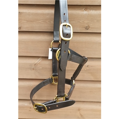*Yearling Leather Head Collar